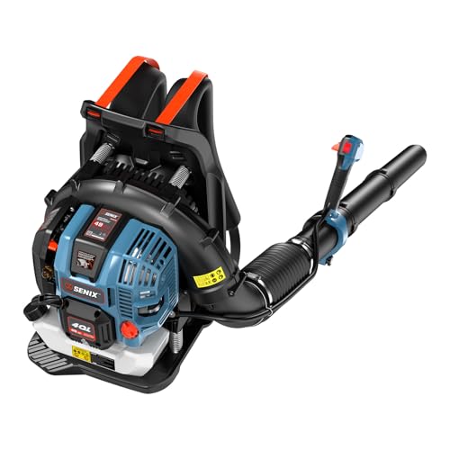Best 4 Cycle Leaf Blower