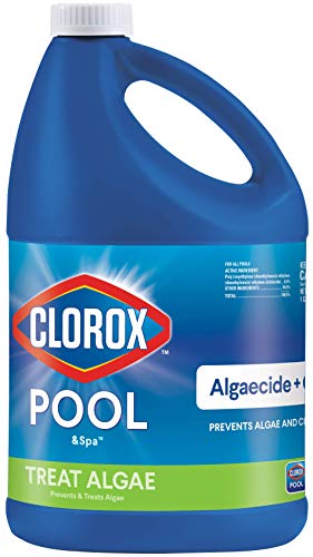 Best Algaecide for Swimming Pool