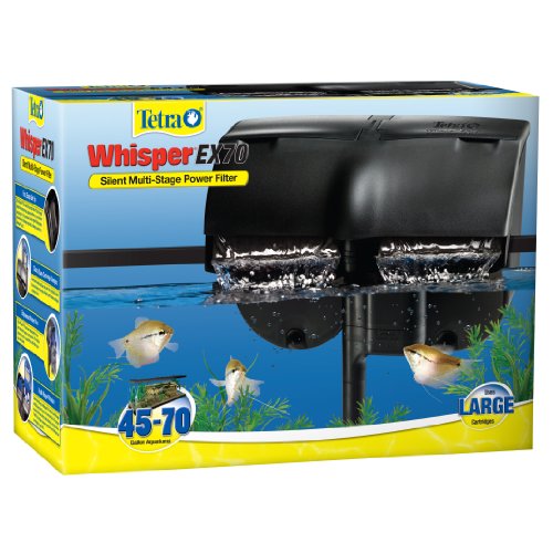 Best Filtration for Fish Tank