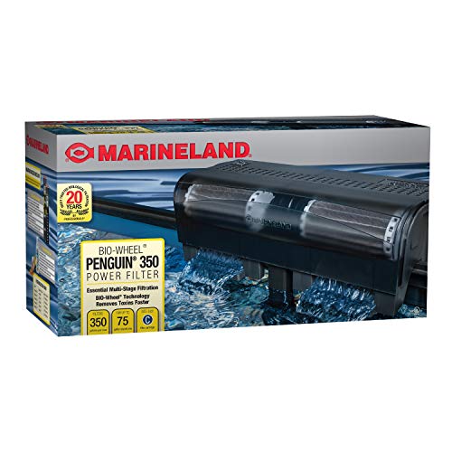 Best Fish Tank Filter