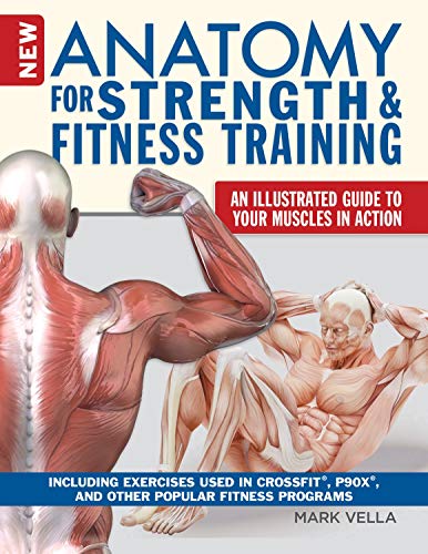 Best Fitness Trainer Certification