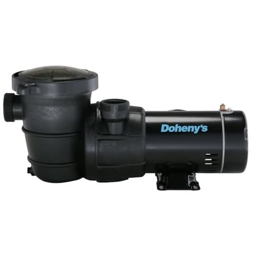 Best Pump for Swimming Pool