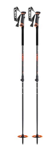 Best Ski Poles