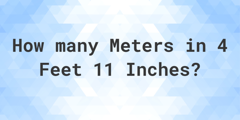 How Many Fit in One Meter