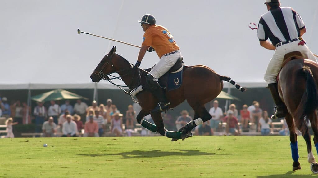 Is Polo a Sport