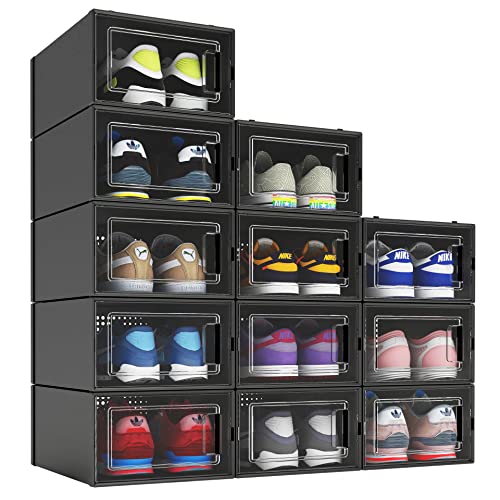 Shoe Box Black Earth
