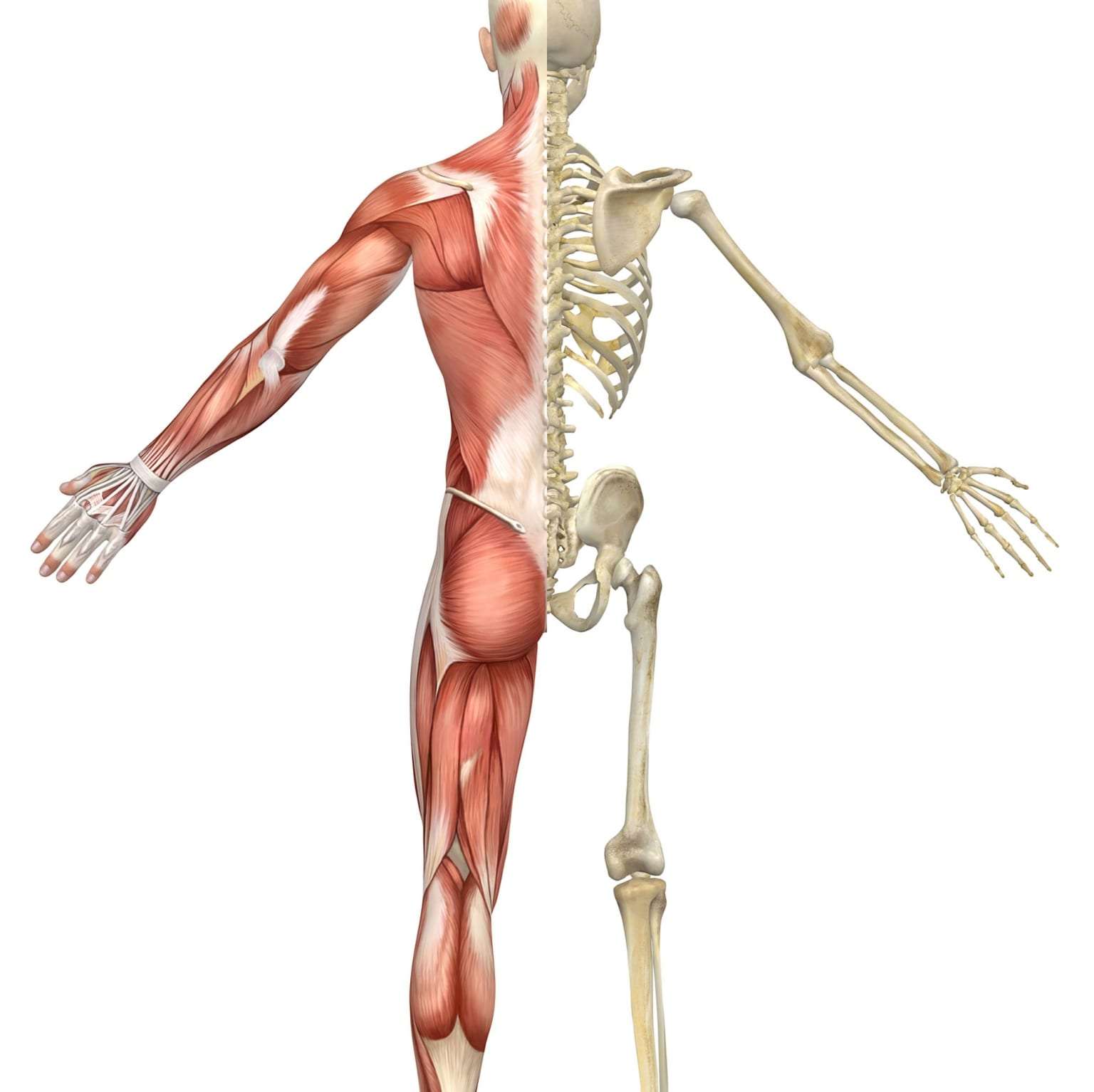 Should I Do Sport After Muscle/Skeleton Pain