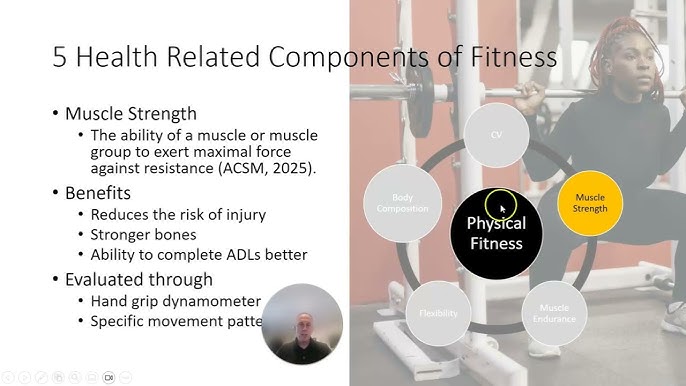 What are the 5 Components of Fitness