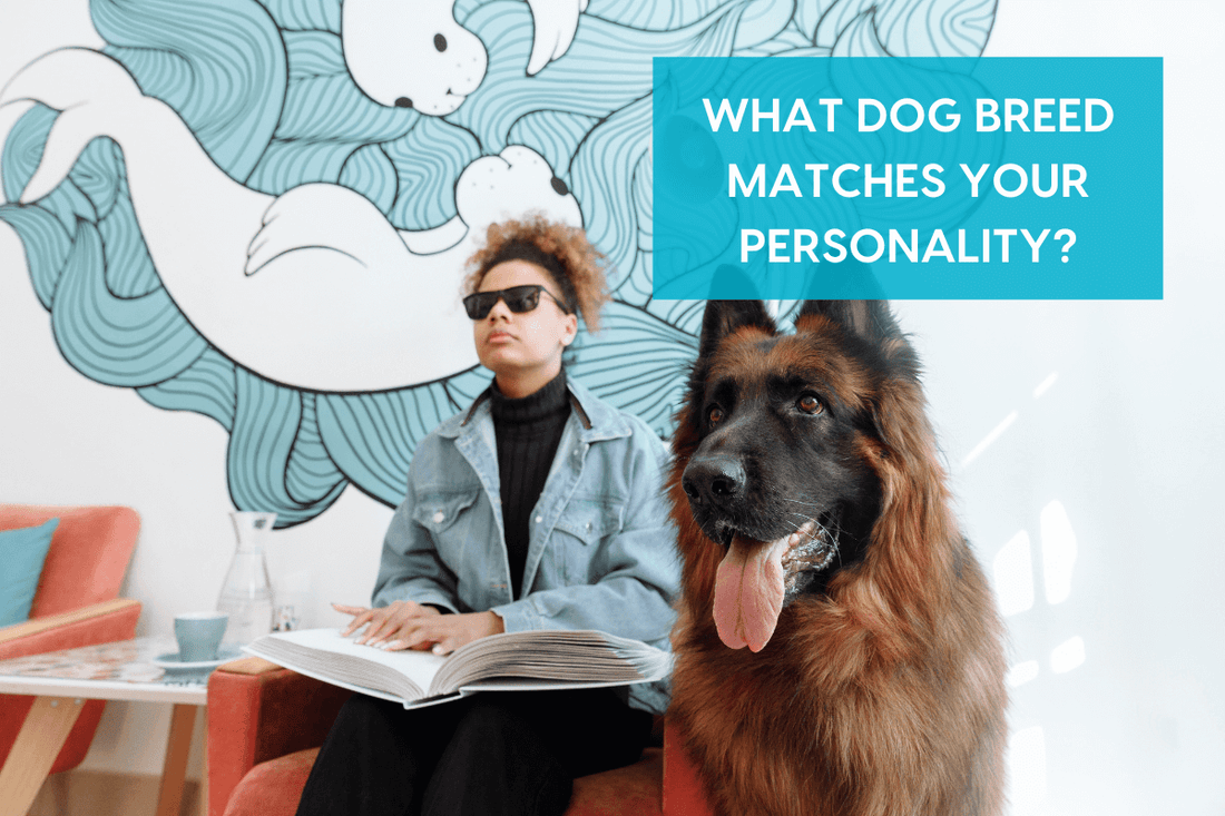 What Dog Breed Fits Me Quiz: Find Your Perfect Canine Match Today