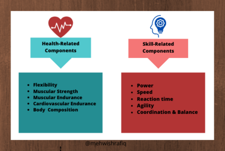 What is a Health Related Fitness Component