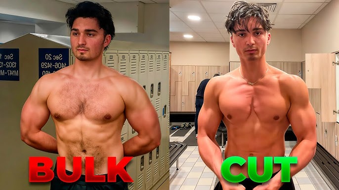 What is Bulking in Fitness