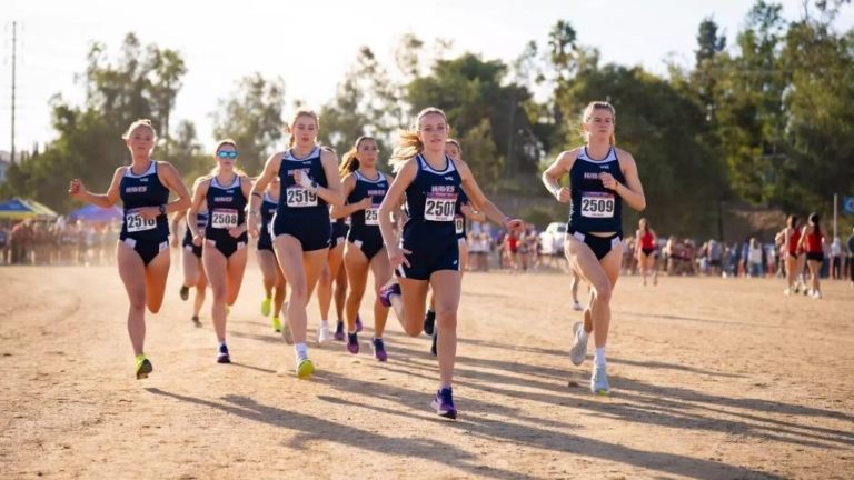 What is Cross Country Sport
