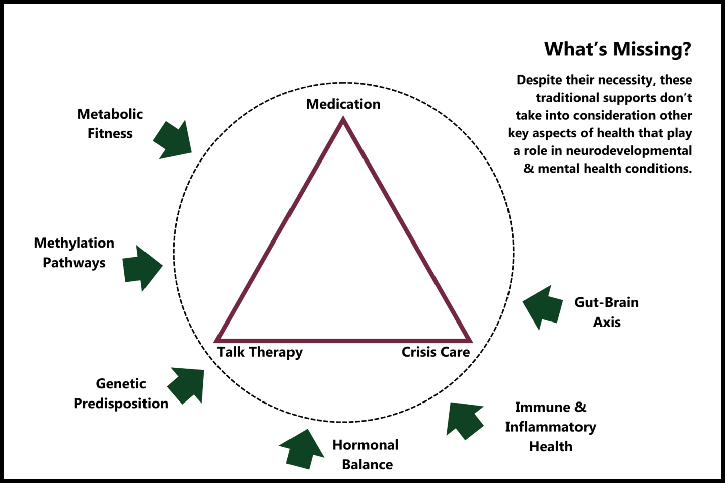 What is Fitness in Biology: Key Concepts Explained Simply