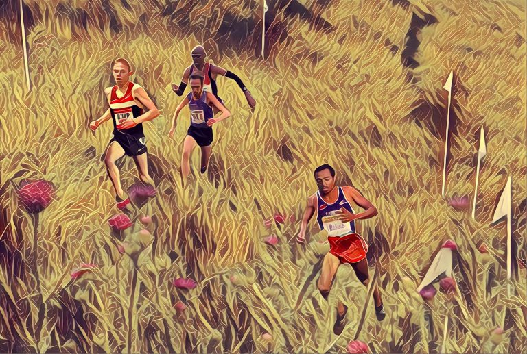 What is the Sport Cross Country