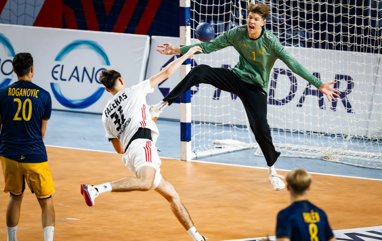 What is the Sport Handball