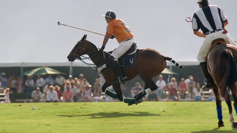 What is the Sport Polo