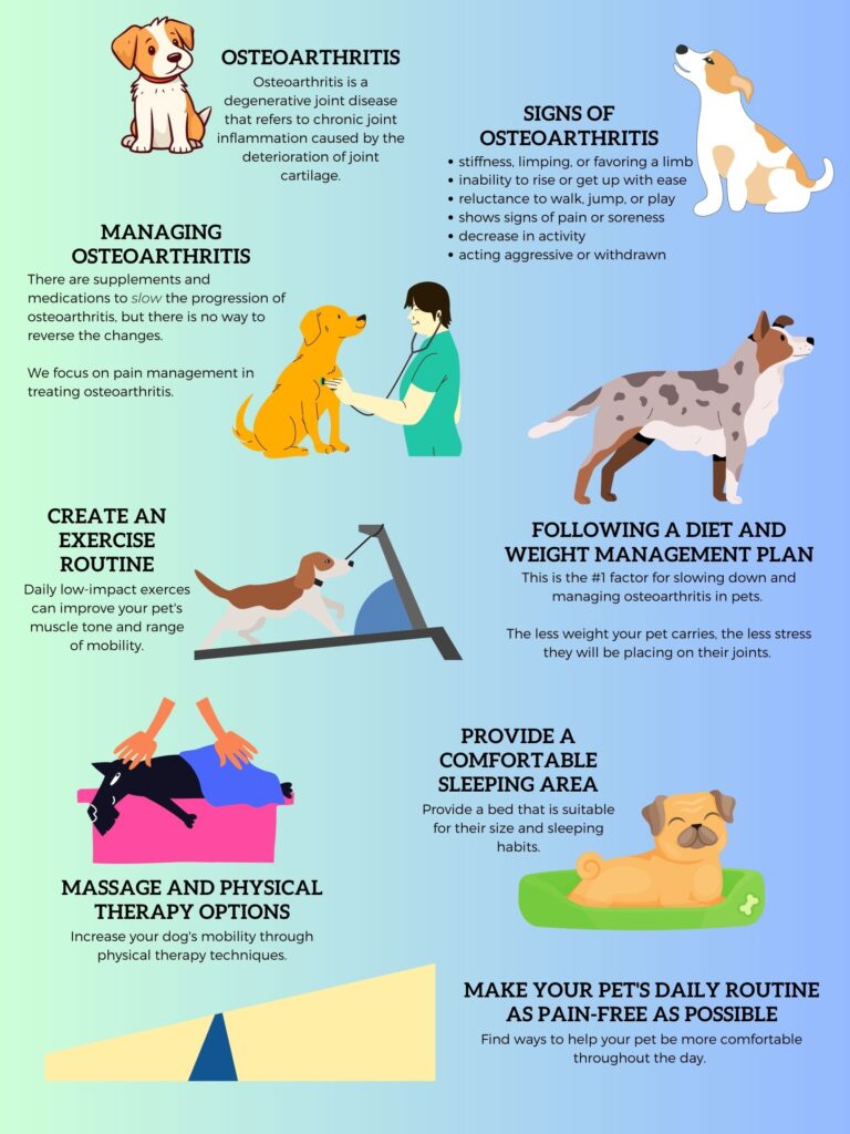 What to Do If My Dog Has a Fit
