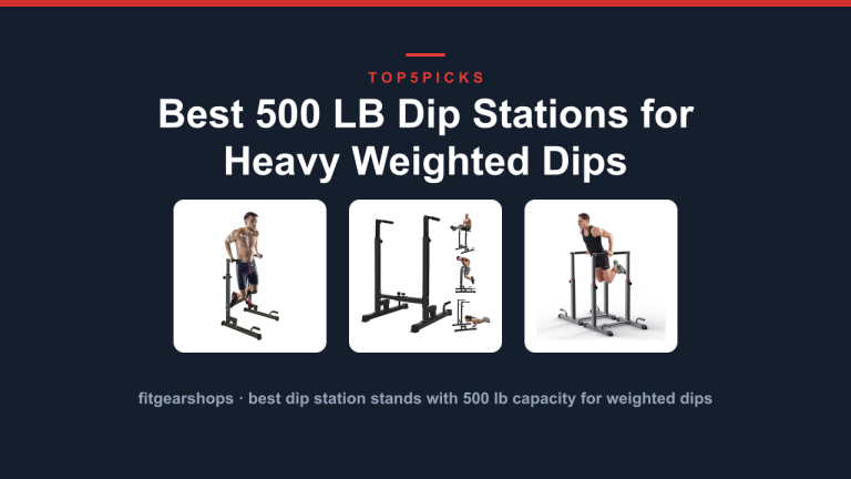 Best 500 LB Dip Stations for Heavy Weighted Dips